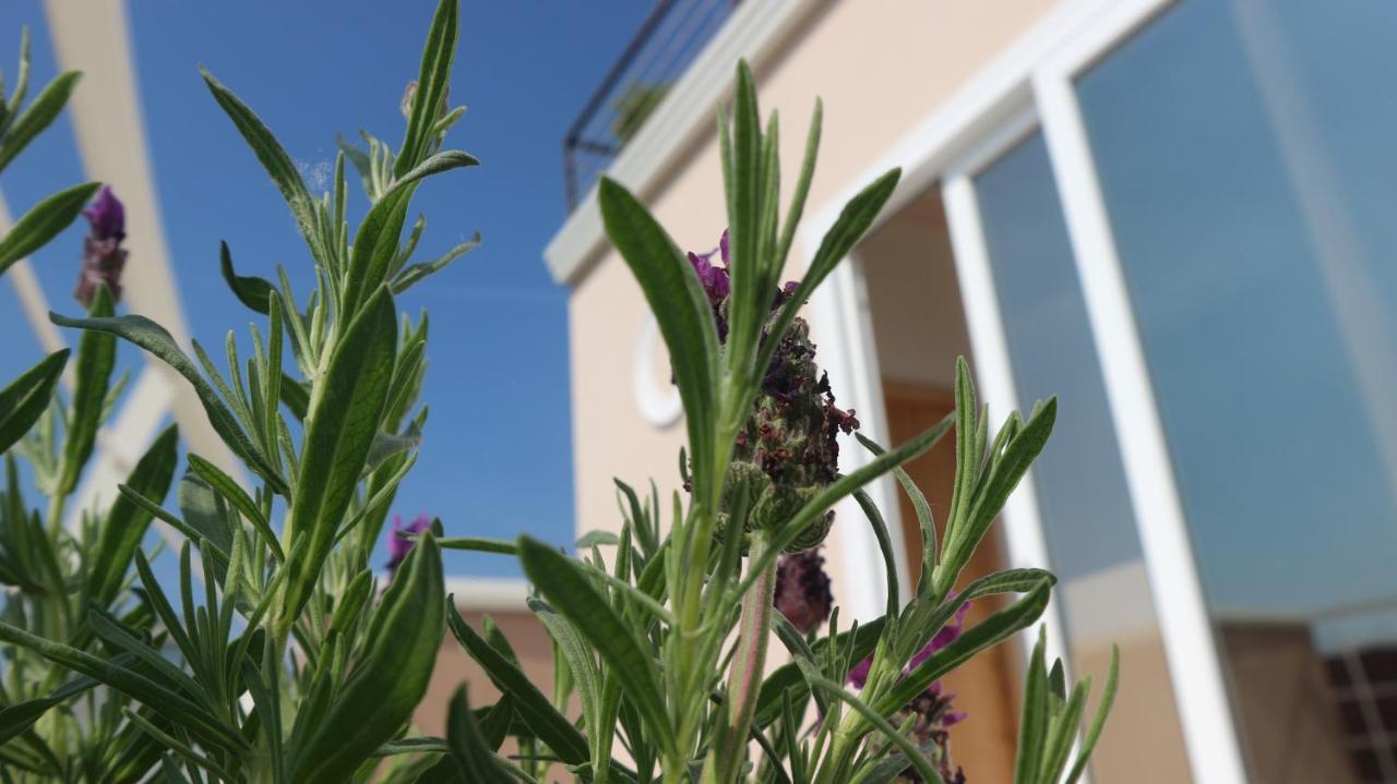 Bed & Breakfast Bema 3*